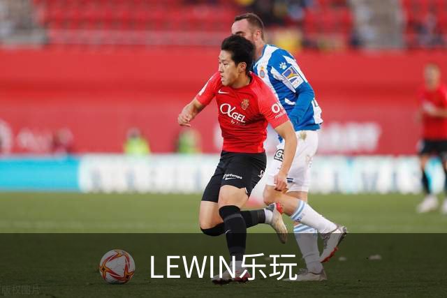 LEWIN乐玩品牌展示图